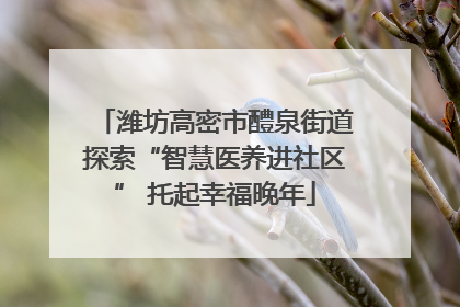 潍坊高密市醴泉街道探索“智慧医养进社区” 托起幸福晚年