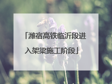 潍宿高铁临沂段进入架梁施工阶段