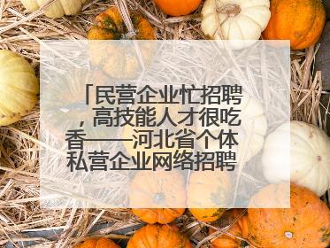 民营企业忙招聘，高技能人才很吃香——河北省个体私营企业网络招聘大会扫描