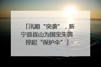 汛期“突袭”，新宁县崀山为国宝朱鹮撑起“保护伞”
