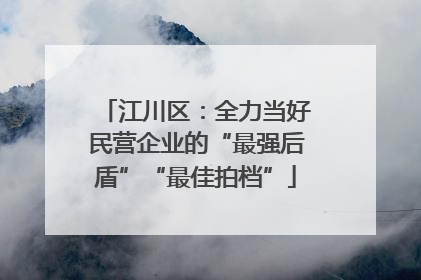 江川区：全力当好民营企业的“最强后盾”“最佳拍档”