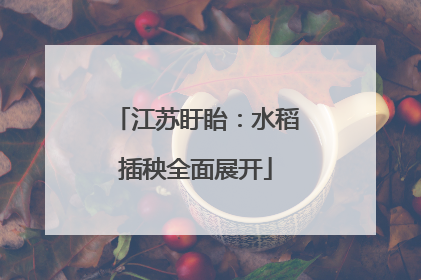江苏盱眙：水稻插秧全面展开
