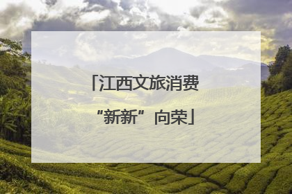 江西文旅消费“新新”向荣