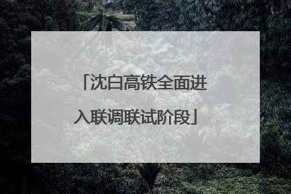 沈白高铁全面进入联调联试阶段