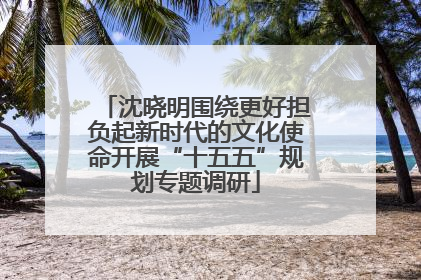 沈晓明围绕更好担负起新时代的文化使命开展“十五五”规划专题调研