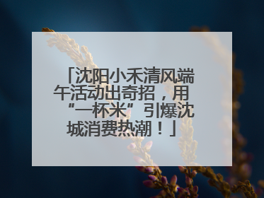 沈阳小禾清风端午活动出奇招，用“一杯米”引爆沈城消费热潮！