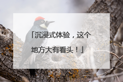 沉浸式体验，这个地方大有看头！