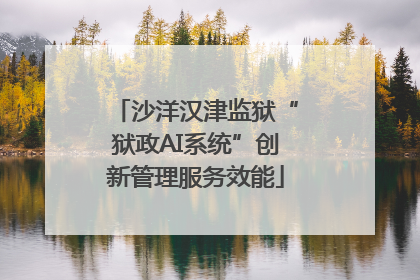 沙洋汉津监狱“狱政AI系统”创新管理服务效能