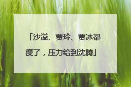 沙溢、贾玲、贾冰都瘦了，压力给到沈腾