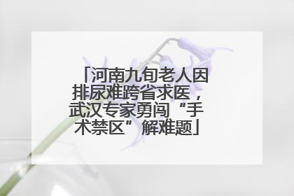 河南九旬老人因排尿难跨省求医，武汉专家勇闯“手术禁区”解难题