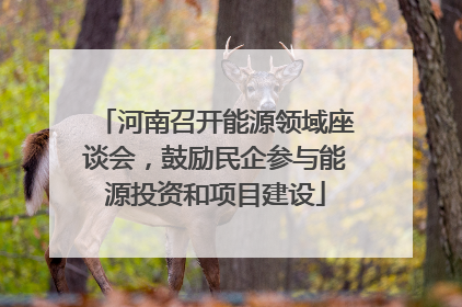 河南召开能源领域座谈会，鼓励民企参与能源投资和项目建设