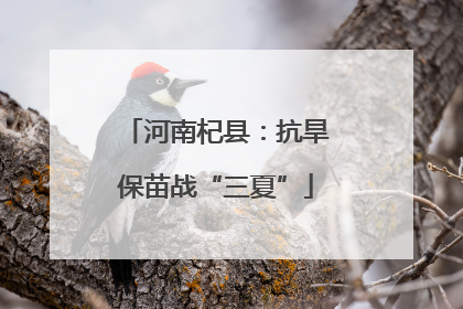 河南杞县：抗旱保苗战“三夏”
