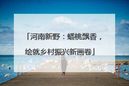 河南新野：蟠桃飘香，绘就乡村振兴新画卷