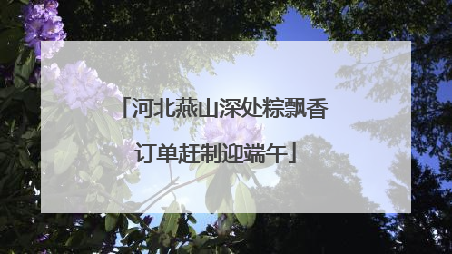 河北燕山深处粽飘香 订单赶制迎端午