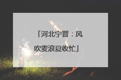 河北宁晋：风吹麦浪夏收忙