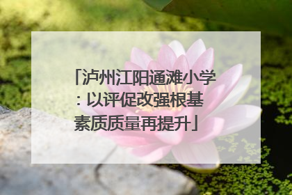 泸州江阳通滩小学：以评促改强根基 素质质量再提升