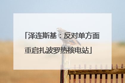 泽连斯基：反对单方面重启扎波罗热核电站