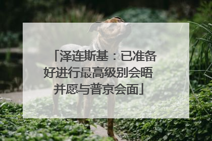 泽连斯基：已准备好进行最高级别会晤并愿与普京会面