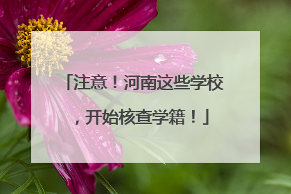 注意！河南这些学校，开始核查学籍！