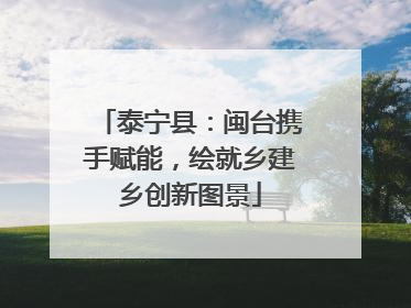 泰宁县：闽台携手赋能，绘就乡建乡创新图景