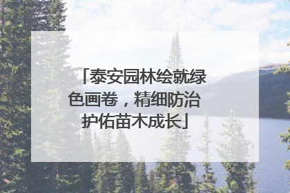 泰安园林绘就绿色画卷，精细防治护佑苗木成长