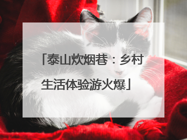 泰山炊烟巷：乡村生活体验游火爆