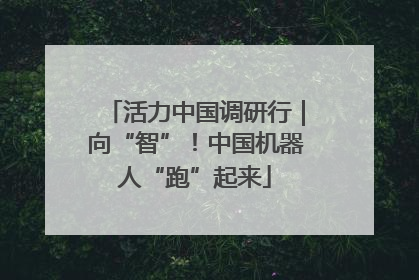 活力中国调研行｜向“智”！中国机器人“跑”起来