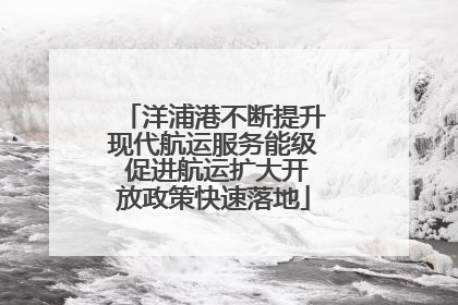 洋浦港不断提升现代航运服务能级 促进航运扩大开放政策快速落地
