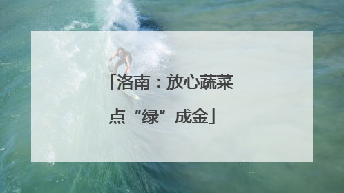洛南：放心蔬菜点“绿”成金