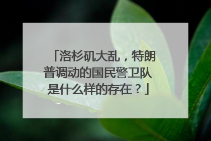 洛杉矶大乱，特朗普调动的国民警卫队是什么样的存在？