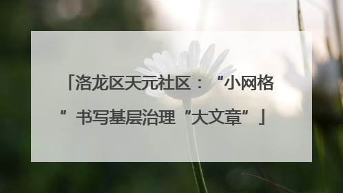 洛龙区天元社区：“小网格”书写基层治理“大文章”