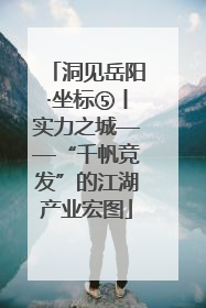 洞见岳阳·坐标⑤丨实力之城——“千帆竞发”的江湖产业宏图