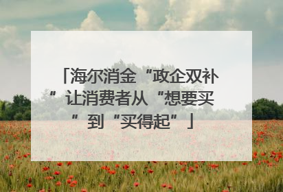 海尔消金“政企双补”让消费者从“想要买”到“买得起”