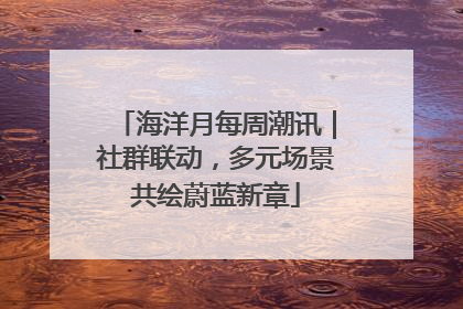 海洋月每周潮讯｜社群联动，多元场景共绘蔚蓝新章