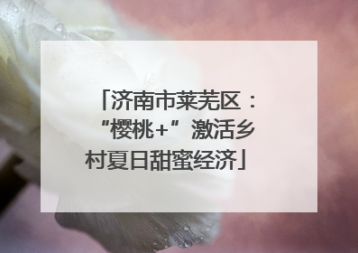济南市莱芜区：“樱桃+”激活乡村夏日甜蜜经济