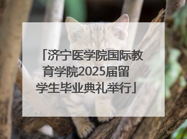 济宁医学院国际教育学院2025届留学生毕业典礼举行
