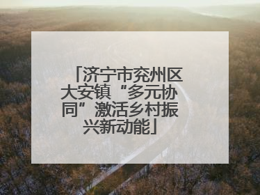 济宁市兖州区大安镇“多元协同”激活乡村振兴新动能