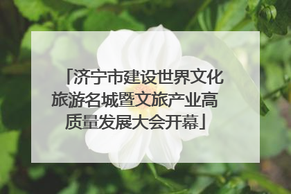 济宁市建设世界文化旅游名城暨文旅产业高质量发展大会开幕