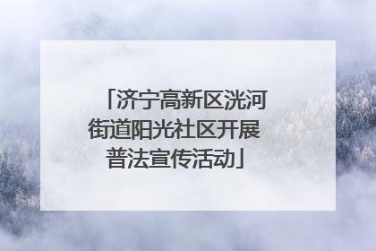 济宁高新区洸河街道阳光社区开展普法宣传活动