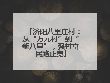 济阳八里庄村：从“万元村”到“新八里”，强村富民路正宽