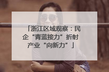 浙江区域观察：民企“青蓝接力”折射产业“向新力”