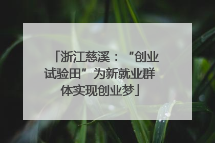 浙江慈溪：“创业试验田”为新就业群体实现创业梦