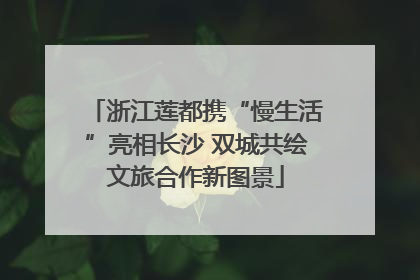 浙江莲都携“慢生活”亮相长沙 双城共绘文旅合作新图景