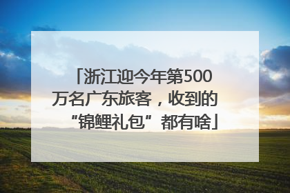 浙江迎今年第500万名广东旅客，收到的“锦鲤礼包”都有啥