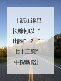 浙江遂昌长粽何以“出圈”？“七十二变”中探新路