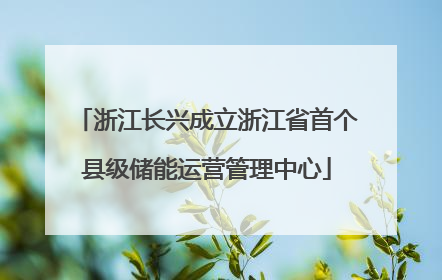 浙江长兴成立浙江省首个县级储能运营管理中心