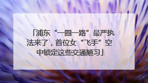 浦东“一圈一路”最严执法来了，首位女“飞手”空中锁定这些交通陋习