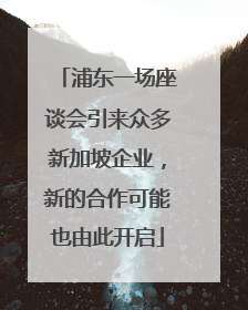 浦东一场座谈会引来众多新加坡企业，新的合作可能也由此开启
