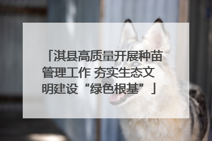 淇县高质量开展种苗管理工作 夯实生态文明建设“绿色根基”