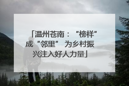 温州苍南：“榜样”成“邻里” 为乡村振兴注入好人力量